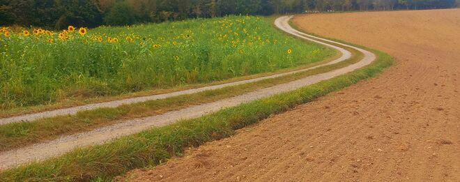 Die Ernte ist eingebracht....