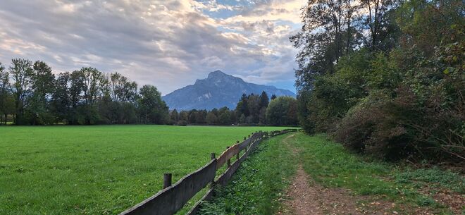 Ein herbstlicher Spaziergang