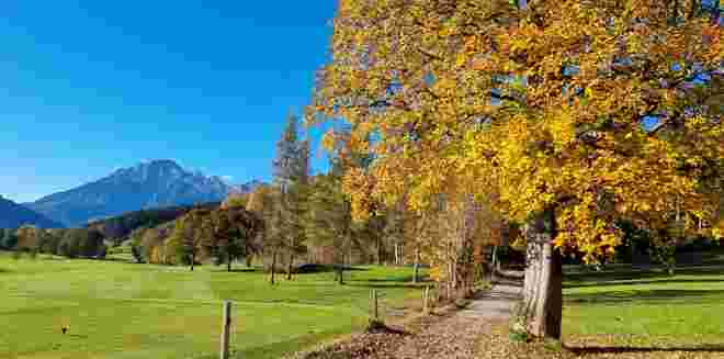 Am Golfplatz 