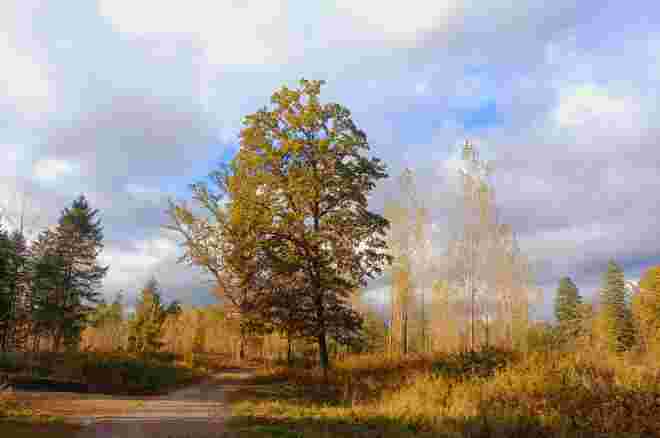 Ein Auenblick 