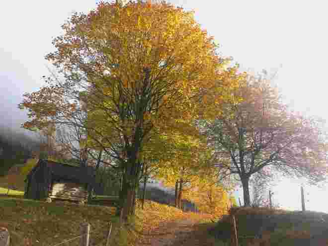 Der Herbst.....