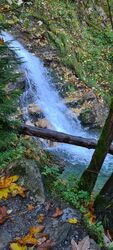 Zauber-Herbst im Gasteiner Tal