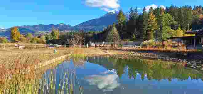Aschauer Weiher
