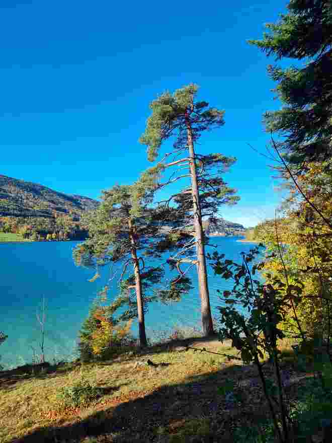Seeblick