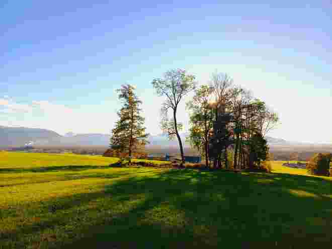 Herbstlicht.....