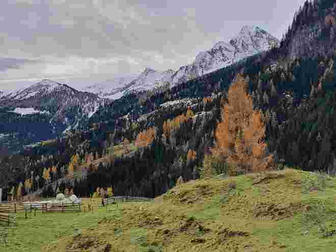 Winter gegen Herbst