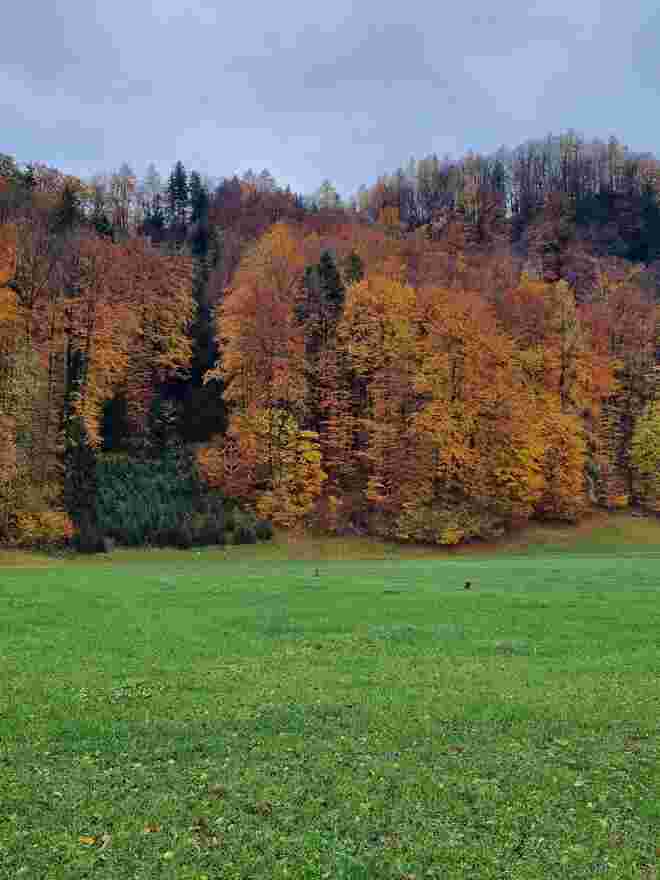 Herbstfarben "de luxe"