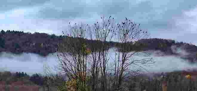 Novemberstimmung
