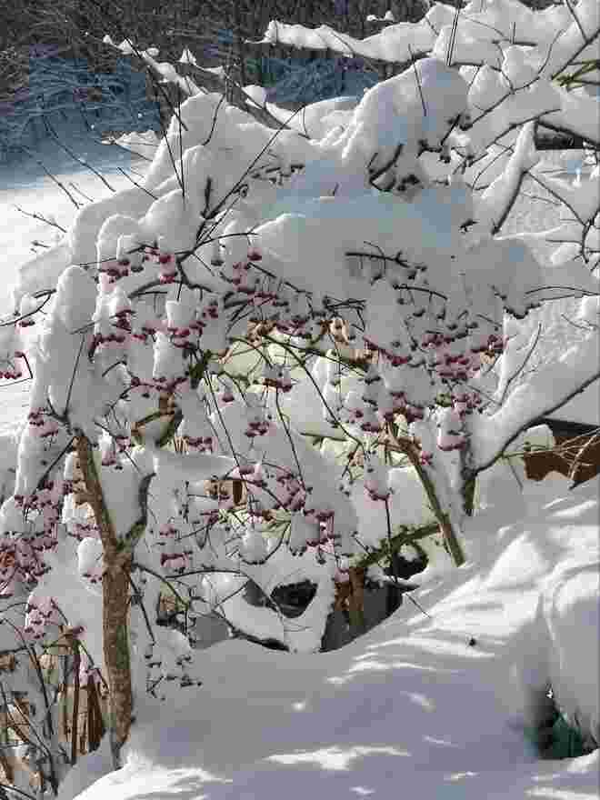 Ein paar wintersonnenstrahlen...
