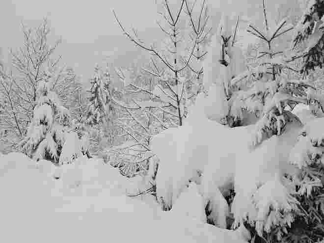 Wintereinbruch