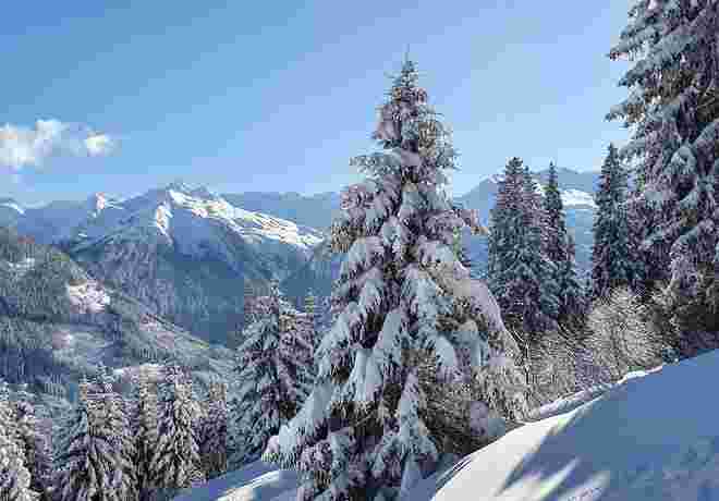 Wintertraum