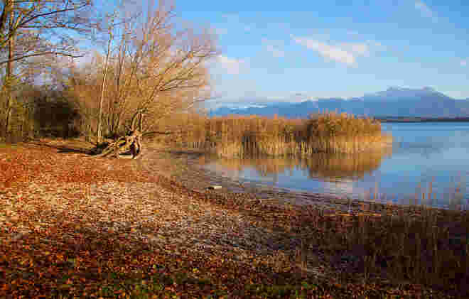 Goldener Herbst am Chiemsee