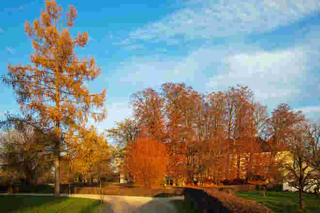 Goldener Herbst am Chiemsee