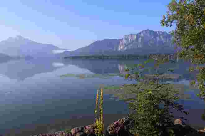 Sommermorgen am See