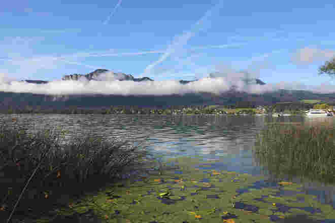 Hochsommernebel