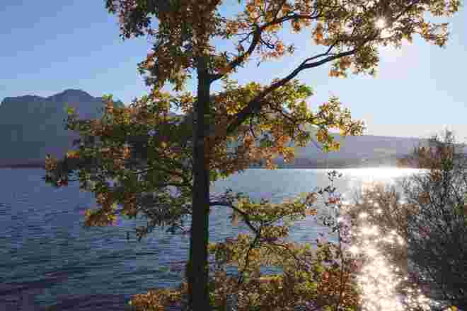 Glitzernde Sonnen im Wasser