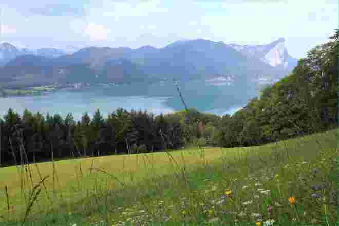 Sommerwiese mit Seeblick