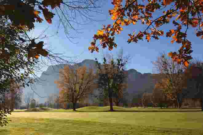 Buntes Herbstlaub im Morgenlicht