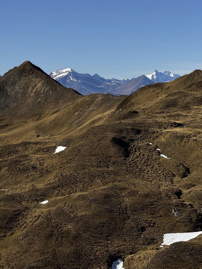 Herbst-Winter-Kontrast