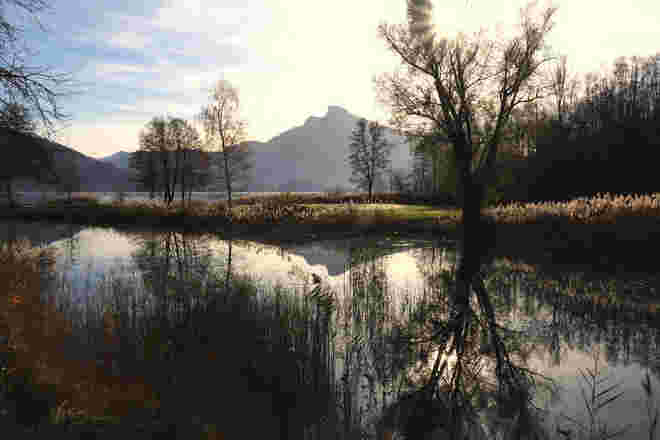 Spätherbstliche Farbnuancen