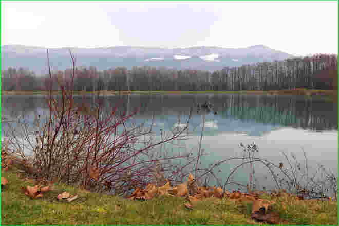 Unten grün, oben weiß