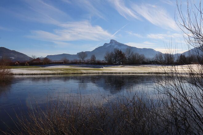 Zugefrorener Teich mit Schafberg 