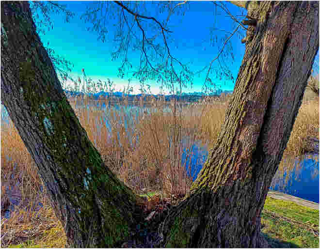 Impressionen am Mattsee