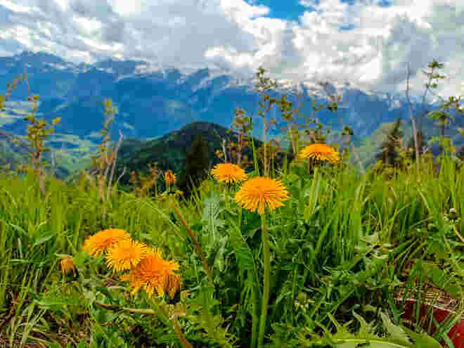Blick vom Berg ins Tal 