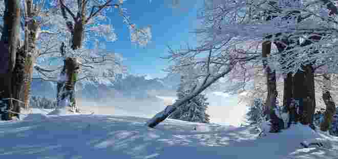 Winterzauber 