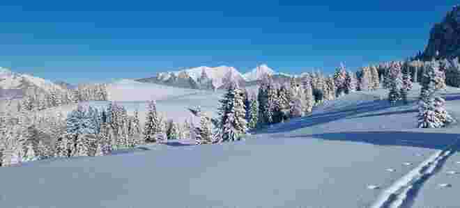Sonntagshorn