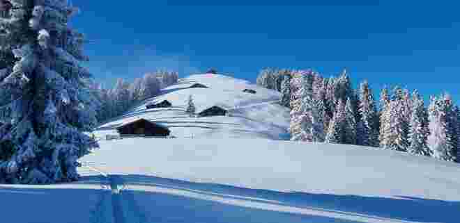Winterwonderland