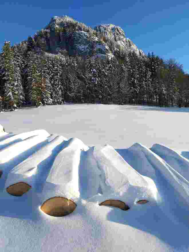 Der Winterwind