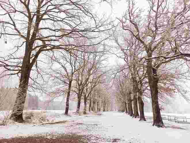 Ein Winter wie damals.....