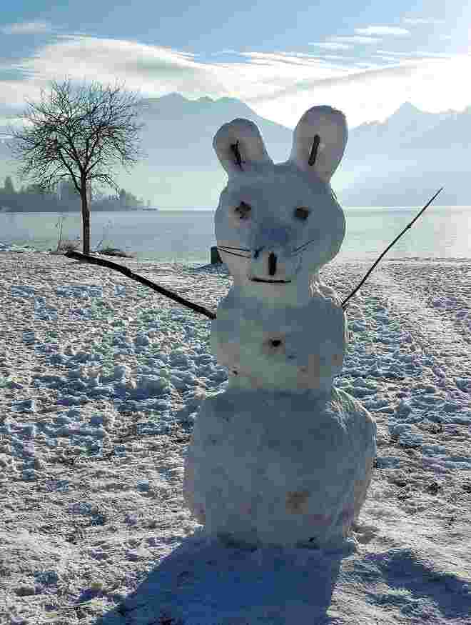 Schneemann geht im Fasching als Bär