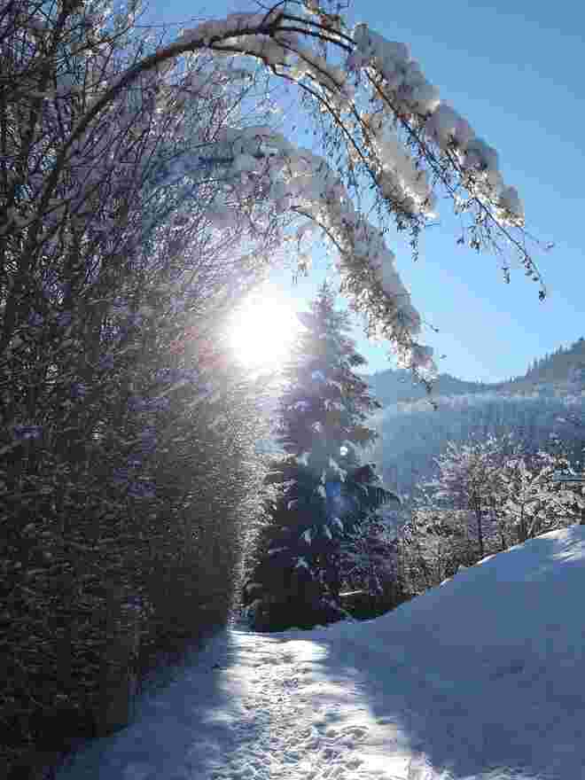 Mittagsspaziergang