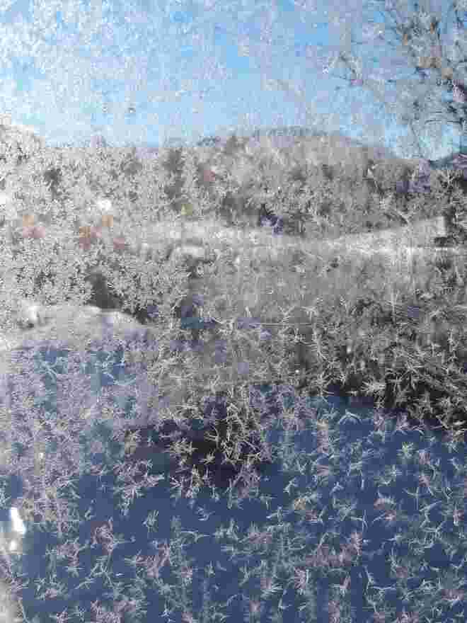 Eisfedern am Fenster