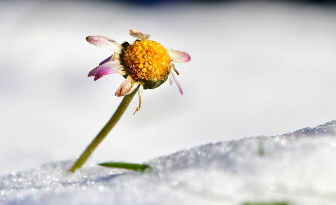 Ich bin noch etwas zerknautscht ...