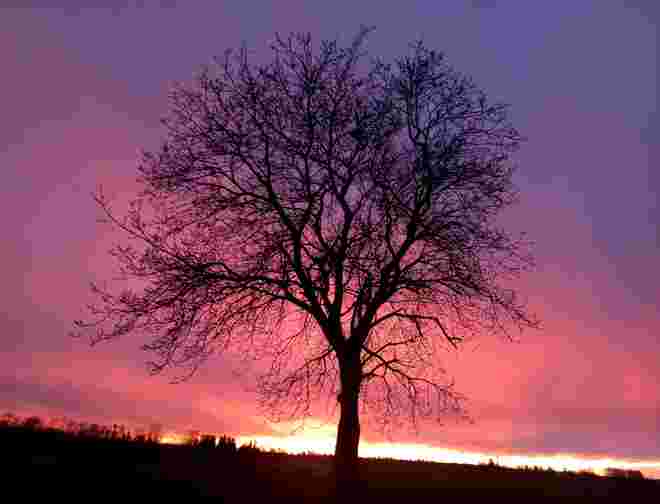 Abendrot