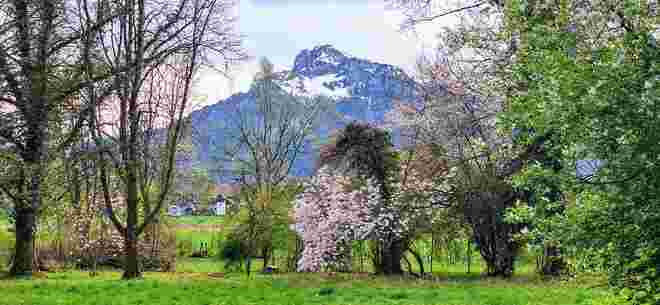 Der Untersberg im Frühling....