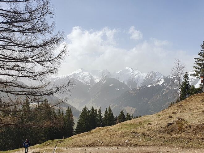 Sahara grüßt Alpen