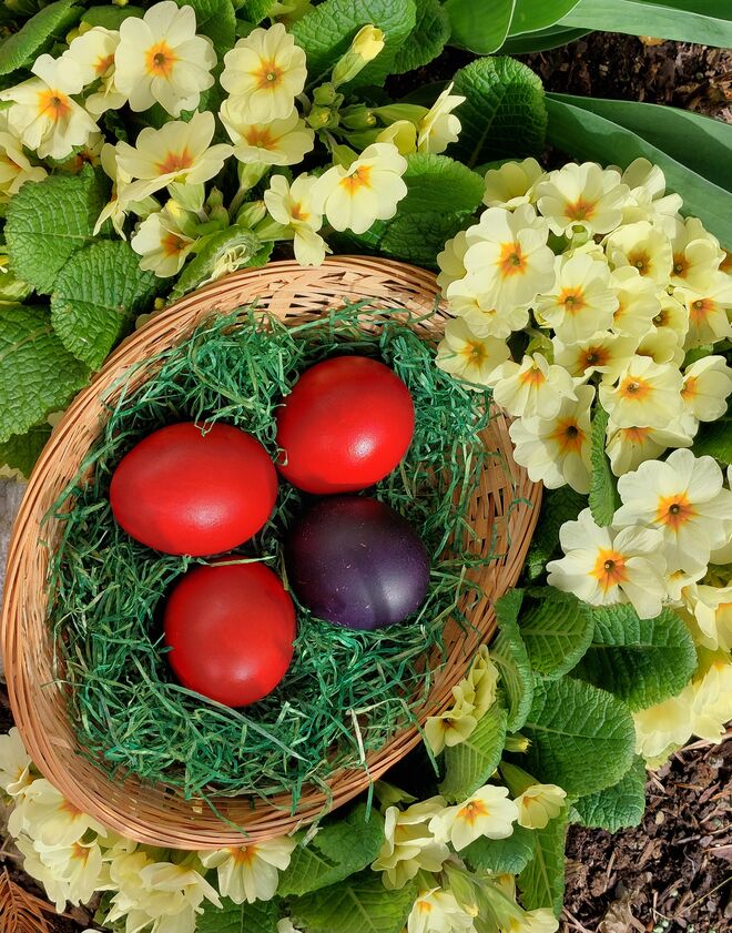 Nesterl suchen und finden!