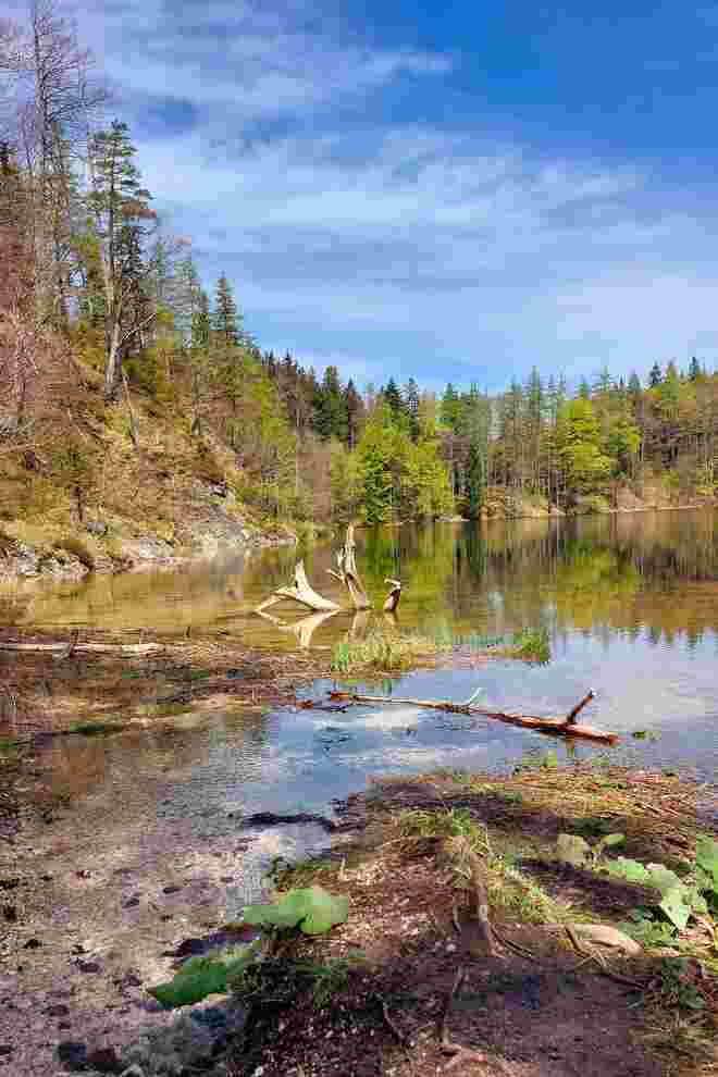 Der Eibensee