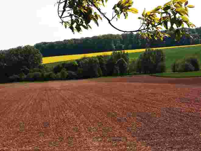 Grundfarben einer Landschaft