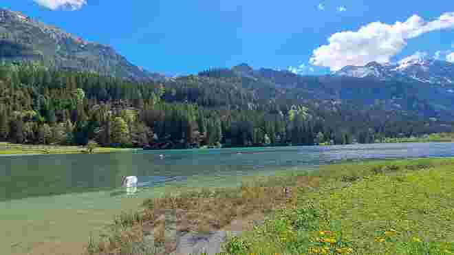 Blick über den Jägersee