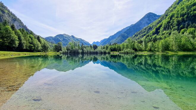 Schöner grüner See
