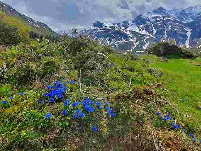 Frühling in Sportgastein