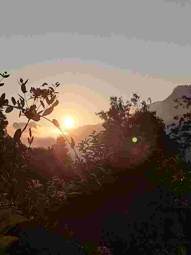 Guten Morgen 