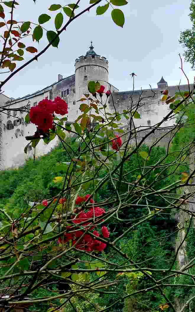 Die Prinzessin schläft im Turm - eine Chance für alle Prinzen!