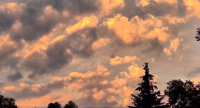 Ein Blick in  den Abendhimmel