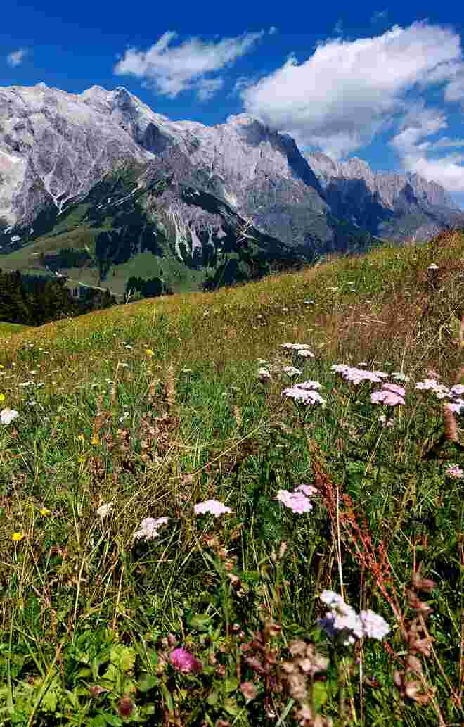 Ein Sommertag im Innergebirg